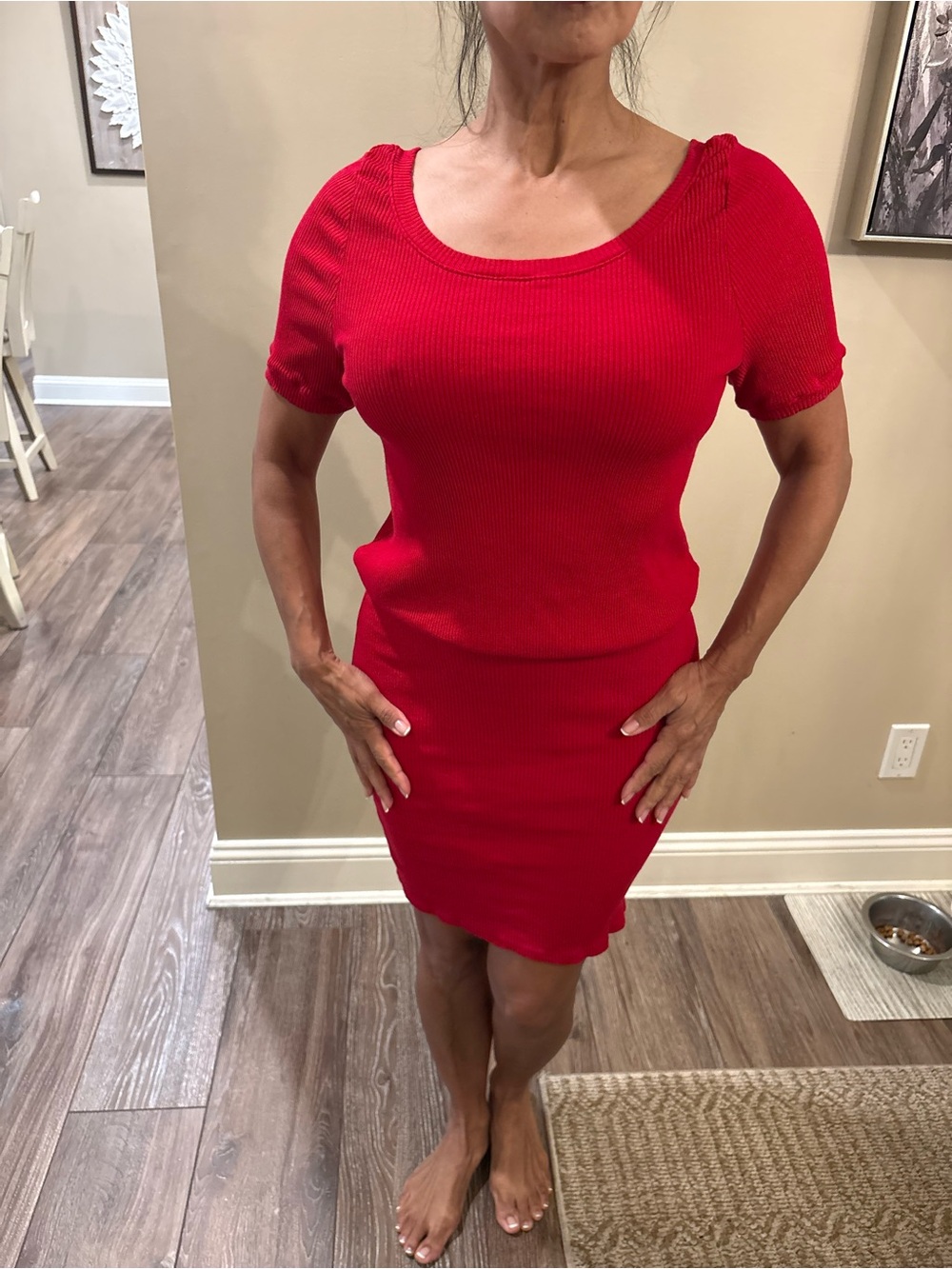 Free People Beach Red Crewneck knit bodycon dress